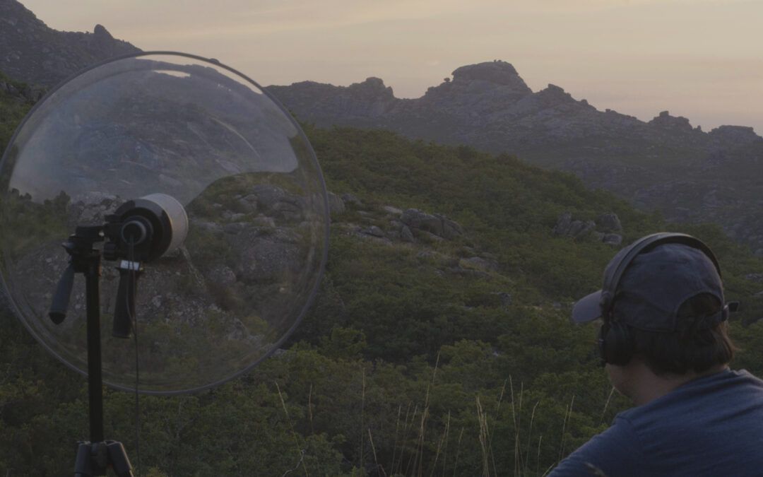 Taller del artista sonoro Xoán-Xil López en Helechal, Badajoz y El Torviscal en marzo