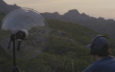 Taller del artista sonoro Xoán-Xil López en Helechal, Badajoz y El Torviscal en marzo